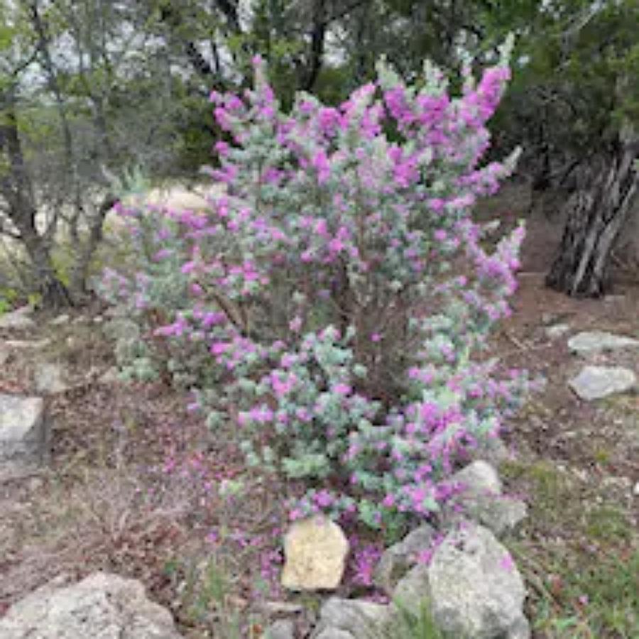 מארבל פולס Entire 2Br 2Ba Hilltop View Home Sleeps 7 Pets 4 Acres Jacuzzi Central Ac Kingbeds Free Wifi-Parking Kitchen Washerdryer Starry Terrace Two Sunset Dining Patios Grill Stovetop Oven Fridge Onsitewoodedhiking Wildlife Coveredpatio4Pets & Birds Singing! מראה חיצוני תמונה